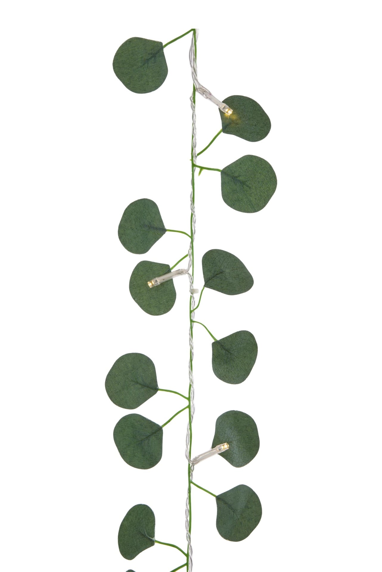 Outdoor 12-Strand Warm White LED Curtain String Lights with Eucalyptus Leaves, 11.48-ft T1Y3 - product image 2