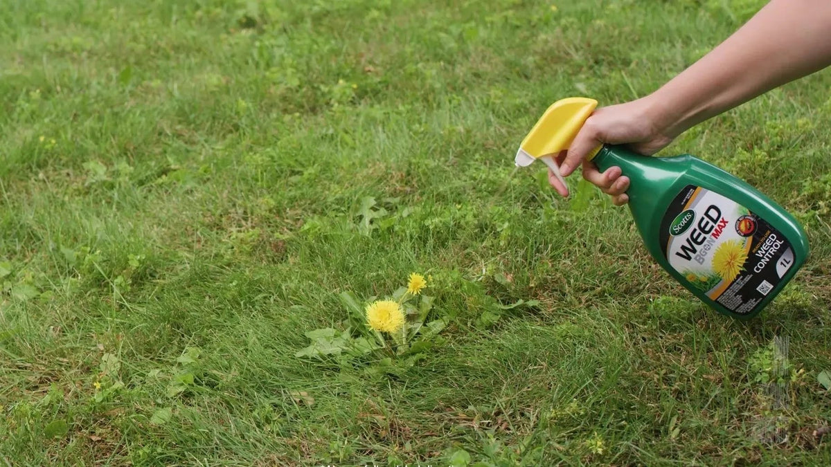 Weed B Gon MAX Weed Control Concentrate for Lawns, 1-L A8Y1 - product image 6