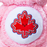 Care Bears Medium Plush Bear 2.0, 14-in Y4Z7 - product image 5