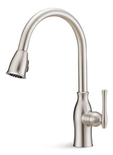 Lisa Single-Handle High Arc Pull-Down Kitchen Faucet, Brushed Nickel G9R9 - product image 1