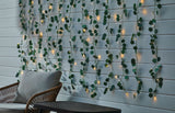 Outdoor 12-Strand Warm White LED Curtain String Lights with Eucalyptus Leaves, 11.48-ft T1Y3 - product image 3