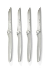 Stainless Steel Steak Knife Set, Dishwasher Safe, 4-pc E2Y9 - product image 1