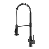Britt Commercial Style Pull-Down Single Handle Kitchen Faucet, Matte Black X3S7 - product image 1