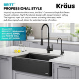 Britt Commercial Style Pull-Down Single Handle Kitchen Faucet, Matte Black X3S7 - product image 6