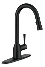 Adler Single Handle Pull-Down Kitchen Faucet, Matte Black D1Z7 - product image 1