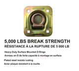 5,000-lb Heavy Duty D-Ring, Recessed Mountable F8S6 - product image 2