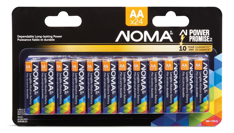 AA Alkaline Batteries, Long Lasting, All Purpose, 24-pk X8D7