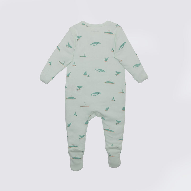 The Elk Baby Whale Print Premium Organic Cotton Play and Grow Zippy, Various Sizes X8P9