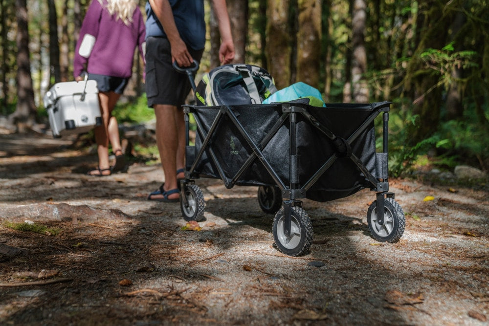 Outdoor Collapsible Folding Utility Standard Wagon & Carry Bag, 150 lb Capacity, Black C3V1 - product image 5